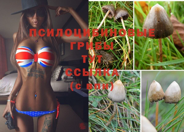 соль курить ск Володарск